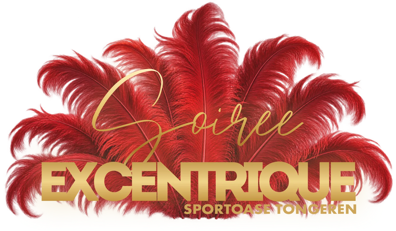 Soirée Excentrique